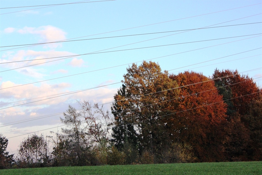 Končana razprava deležnikov o elektroenergetskih omrežjih